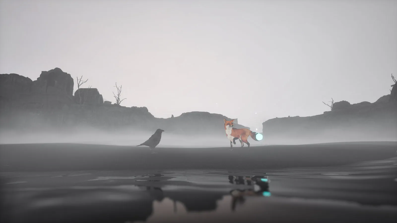 Spirit of the North 2 Photo Mode Review