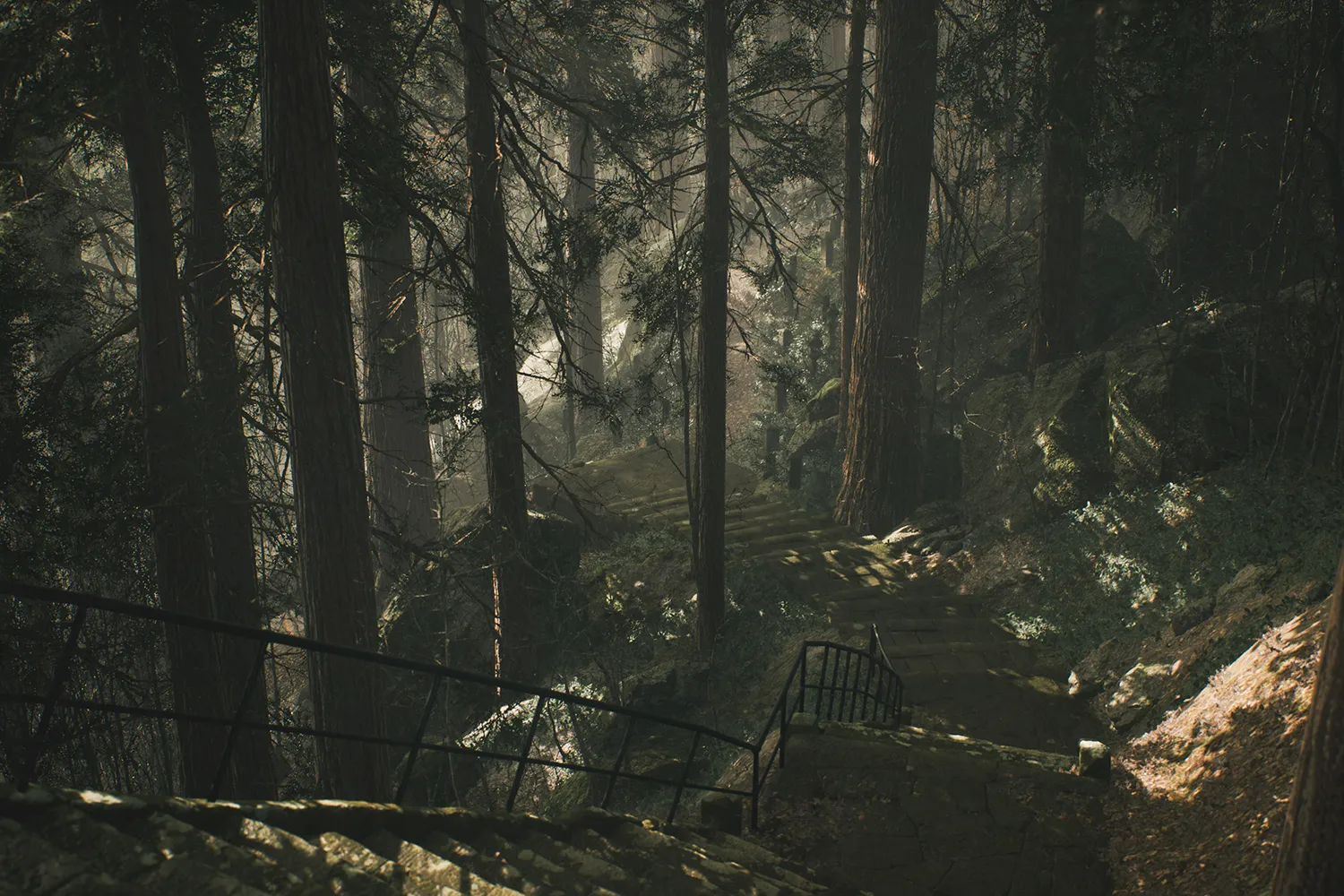 Lushfoil Photography Sim Review