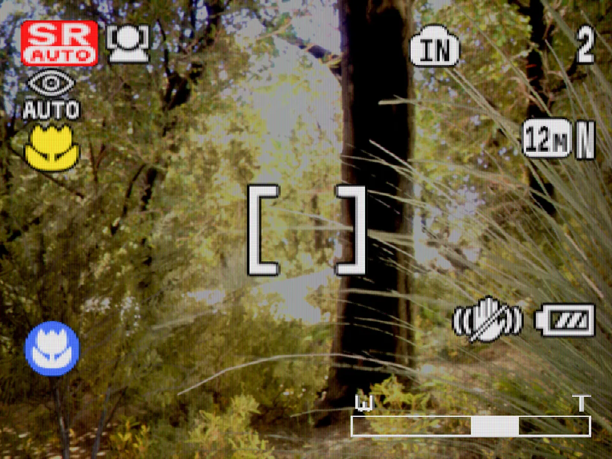 Lushfoil Photography Sim Review