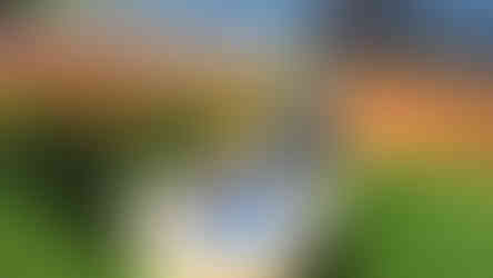 Astro Bot's Hidden Photo Mode