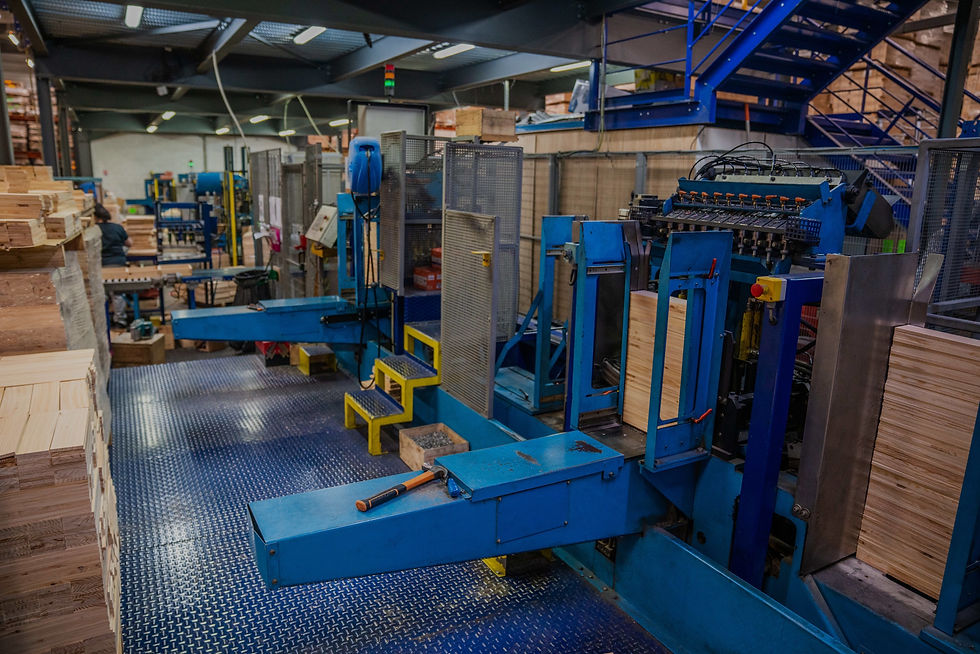 Caisserie-Marie Louise-atelier-fabrication-caisses bois-haut de gamme-machines et outillage
