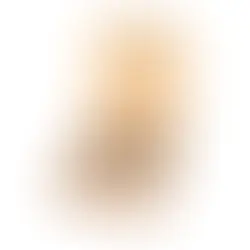 La Caisserie Marie-Louise signe les coffrets d’exception de la Maison Albert Bichot pour la Vente des Hospices de Beaune