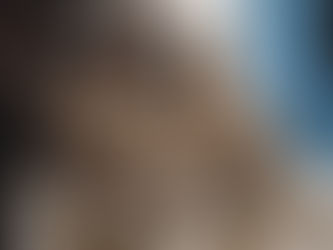 Review: The Unauthorized Bash Brothers Experience