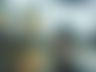 Tokyo Typhoon Extreme Weather Tourists