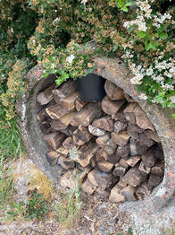 image00019.jpeg