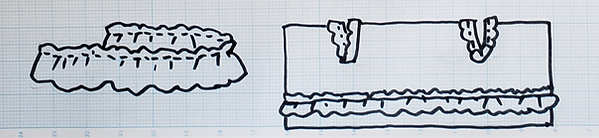 20220214_101536_edited.png