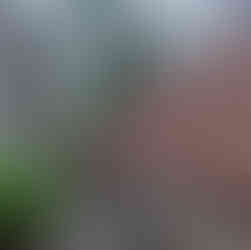 גדר עם אלמנט אנכי