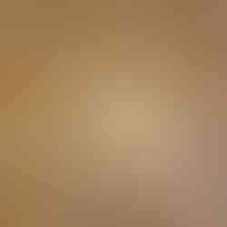 צורות  גאומטריות בפרקט במוזיאון אלברטינה 1