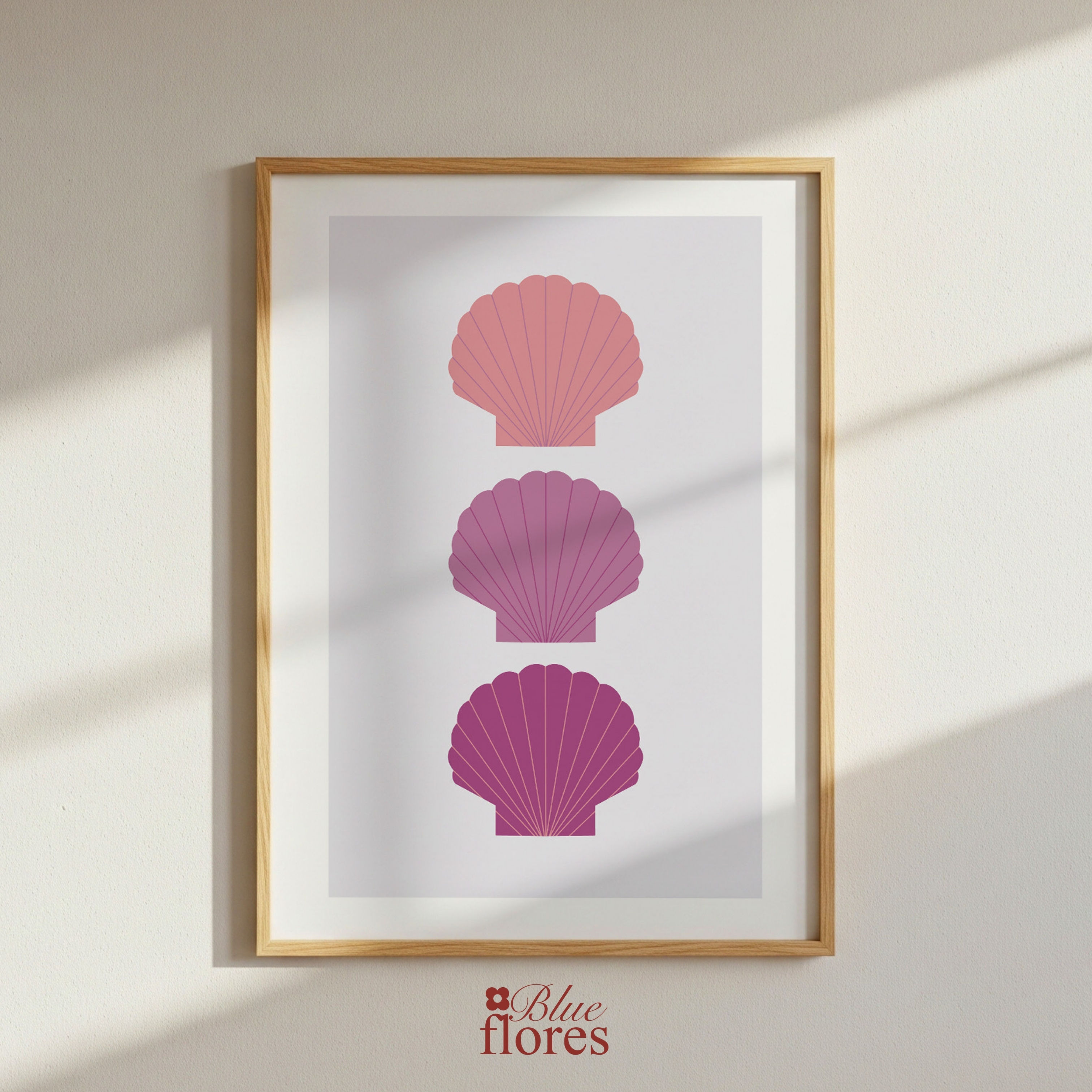 Affiche - Coquillages