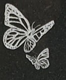 20220316_134320_edited.jpg