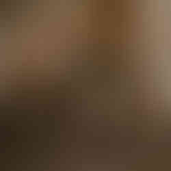 two male lions showing affection, relaxed in the bush of a South Africa reservation, Thornybush