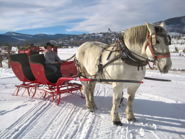 Adams Farm - Sleigh Ride 亞當斯農場