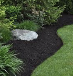 Black Mulch