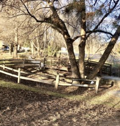 Eagle Arboretum Park