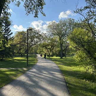 Shady Walking Trail