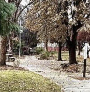 Eagle Arboretum Path