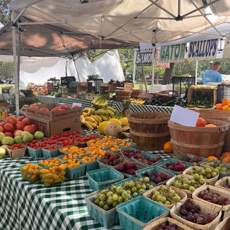 Farmers Market Booth Aesthetic