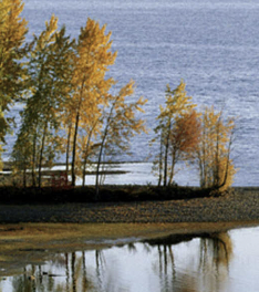 Macks Creek Trail Lucky Peak Area