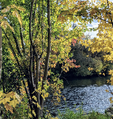 Eagle Arboretum Pond