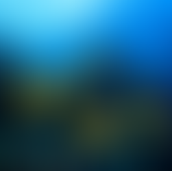 Aquarium Of Boise Fish