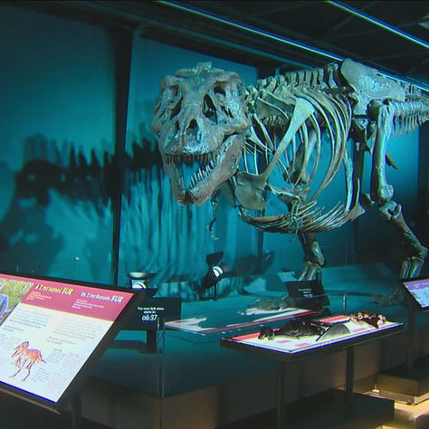 Discovery Museum of Idaho