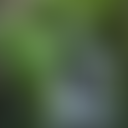 Mk Nature Center Waterfall