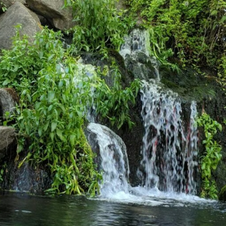 Mk Nature Center Waterfall