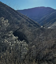 Macks Creek Trail Mountain