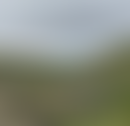 Boise foothills trails