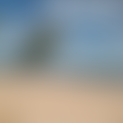 Lake Lowell Beach Area