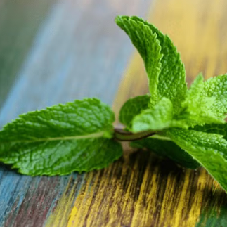 Mint Garnish