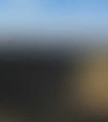 Harrison Hallow Trails