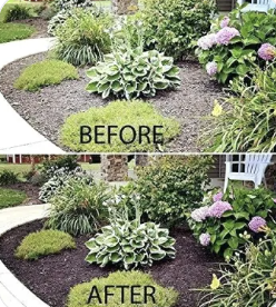 Before & After Mulch