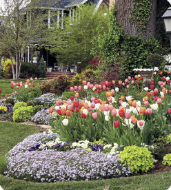 Garden Flower Beds