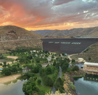 Keep Your Forest Green