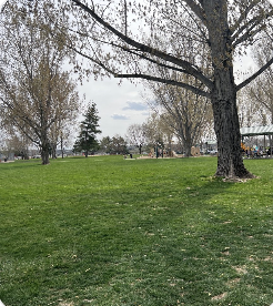 BRIDGETOWER GREEN SPACE