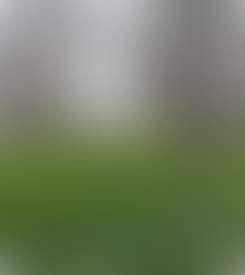 BRIDGETOWER GREEN SPACE