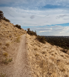 Seamans Gulch Trail System