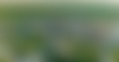 Treasure Valley Market Update