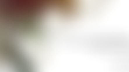 Porque todos los que habéis sido bautizados en Cristo, de Cristo estáis revestidos by Blanca Quiroga