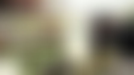 Desanimad@? En Cristo Jesús JAMÁS Derrotad@ by Blanca Quiroga