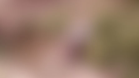 Sepultados con él en el bautismo, en el cual fuisteis también resucitados con él by Blanca Quiroga