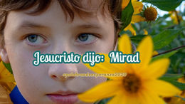 Nuestro Señor Jesucristo dijo: Mirad by Blanca Quiroga
