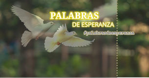 Abunda en amor en Cristo Jesús by Blanca Quiroga