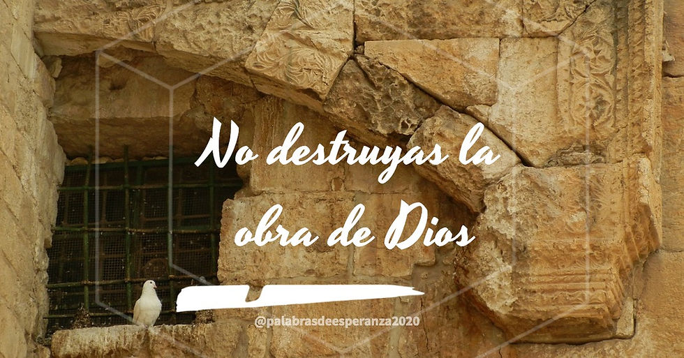 No destruyas la obra de Dios by Blanca Quiroga