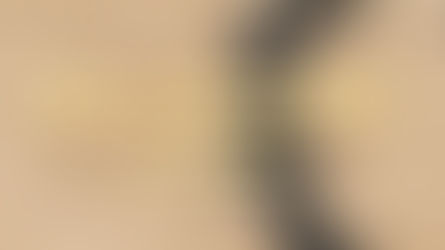 Grace in Jesus Christ by Blanca Quiroga