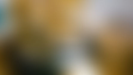 Por fe taparon bocas de leones by Dra Blanca Quiroga