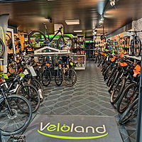 magasin vélos bort.jpg