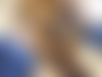 Haydarpaşa Kazılarının İlginç Buluntuları: "Yunus Yağı İle İlaç ve Büyü Yapmışlar"