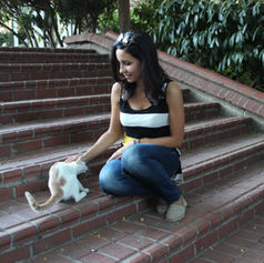 Kediler & Aromaterapi